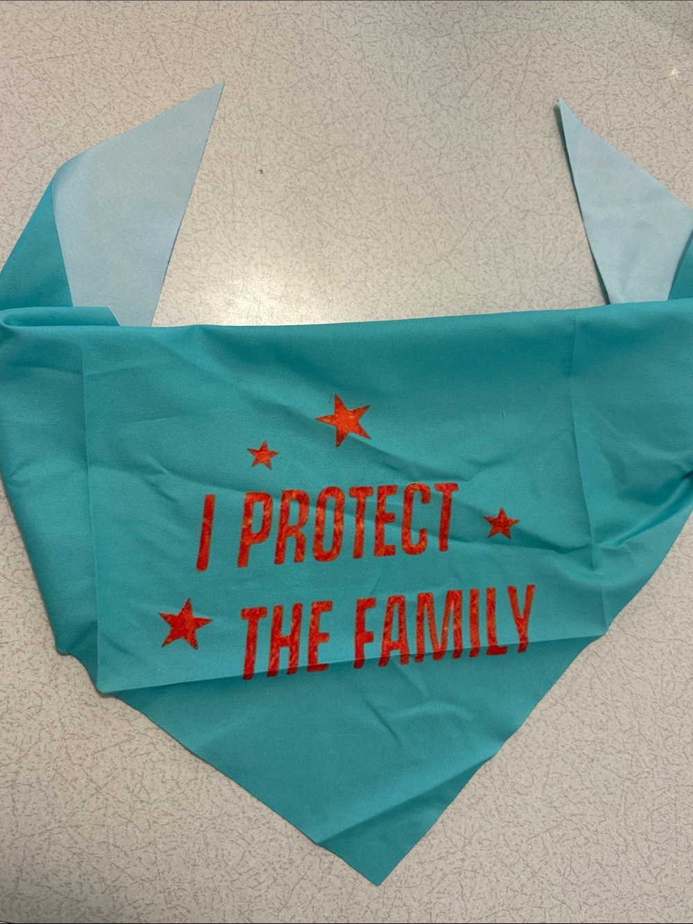 Swiftie Dog Bandana I Protect The Family Father Figure Lyrics Taylor Swift TLOAS